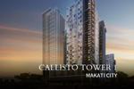 Callisto 0 BR Condominium small photo 1