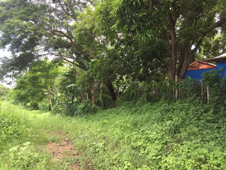                                     1 Bedroom
                                 N/A Bedroom House and Lot For Sale in brgy palincaro big photo 18