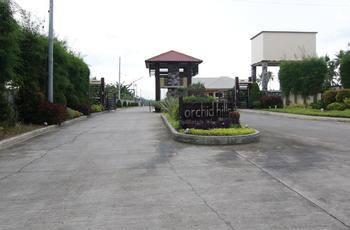 Orchid Hills